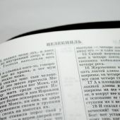 Библия каноническая 047z (малого формата с позолотой, кожаный переплет. молния)